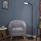 Hastings Home Hastings Home Gooseneck Daylight Floor Lamp, Black 607161MNQ - alternate 2